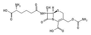 C06569