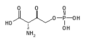 C07335