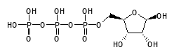 C02884