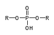 C02534