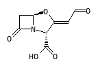 C06661