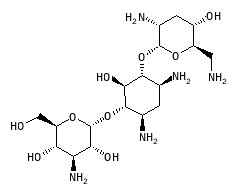 D00063