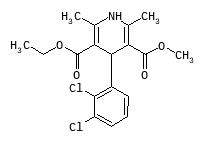 D00319