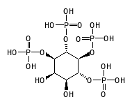 C11555
