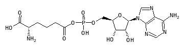 C05560