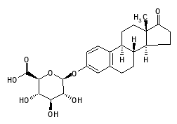 C11133