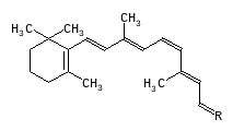 C00778