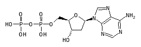 C00206