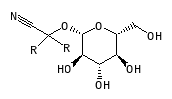 C05713