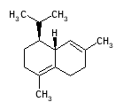 C06394