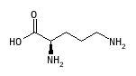 C00515